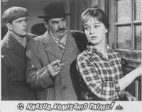 Yleisradion luvalla: Kaasua, Komisario Palmu